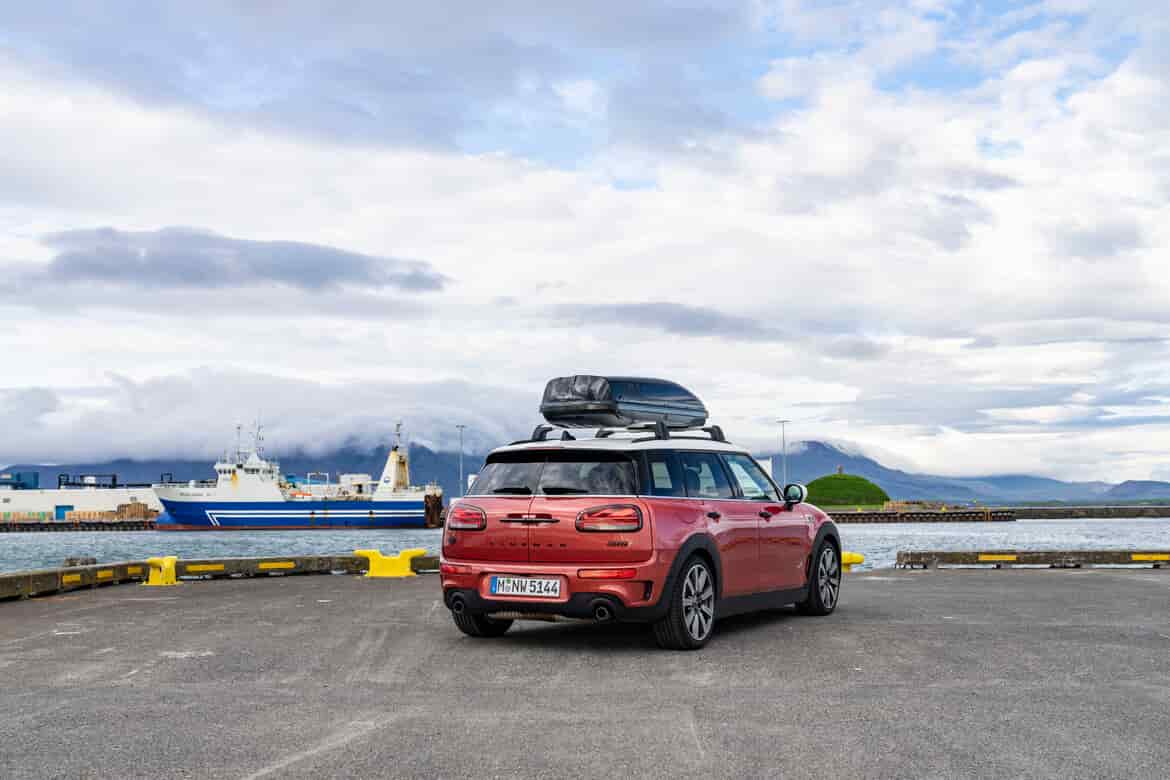 Two dogs sat in a Mini Clubman boot