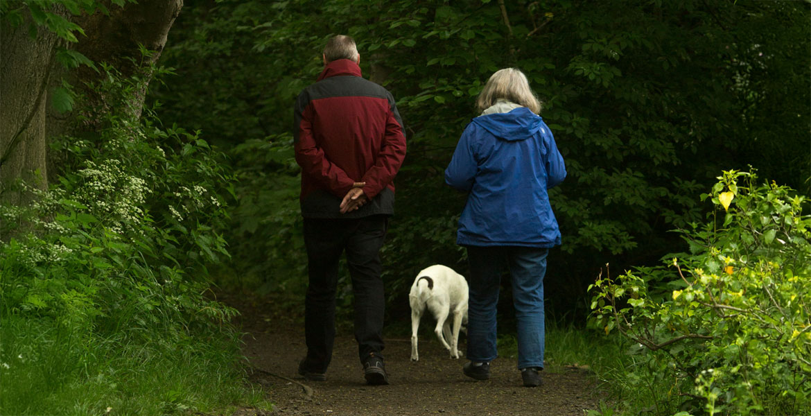 An elderly couple taking their dog for a walk, discussing whether they could lease a car.